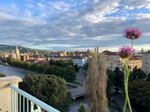 Day, Balcony/Terrace, City view, River view
