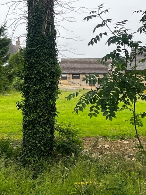 Lavender Cottage House in England