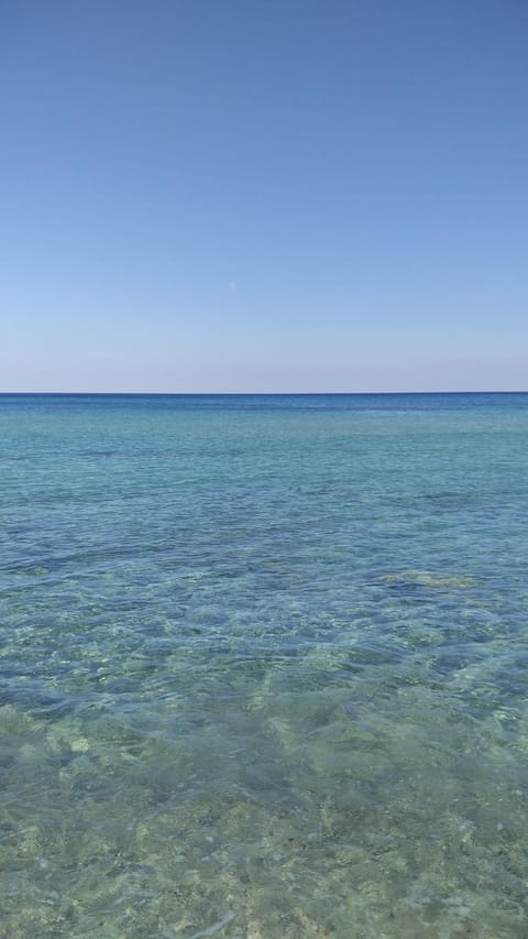 Natural landscape, Beach, Sea view