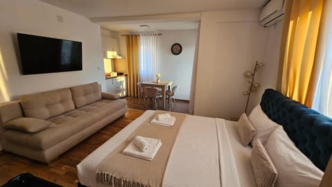 Bed, TV and multimedia, Living room, Photo of the whole room, Seating area, Dining area, Bedroom, air conditioner