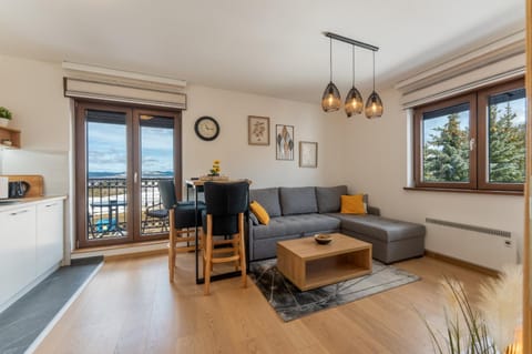 Apartman MY TIME Apartment in Zlatibor