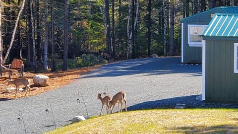 Property building, Natural landscape, Other