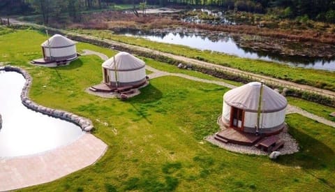 Natural landscape, Garden, Garden view, Pool view, Swimming pool