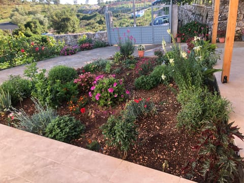 Nino's rooms Bed and Breakfast in Ksamil