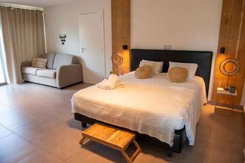 Bed, Living room, Photo of the whole room, Bedroom