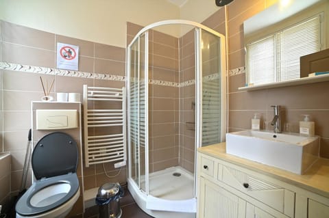 Shower, Toilet, furniture