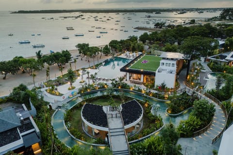 Bird's eye view, Garden