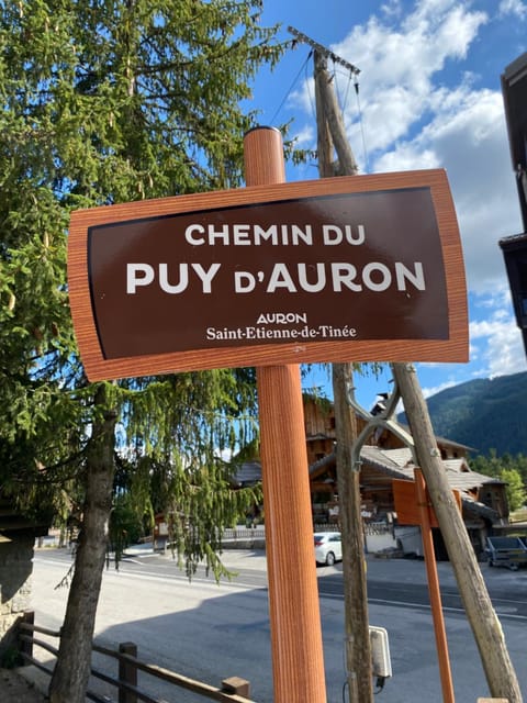 Auron Chalet Casanova centre et pistes à pied Chalet in Saint-Étienne-de-Tinée