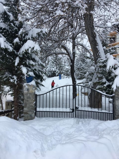 Auron Chalet Casanova centre et pistes à pied Chalet in Saint-Étienne-de-Tinée