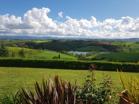 View (from property/room)