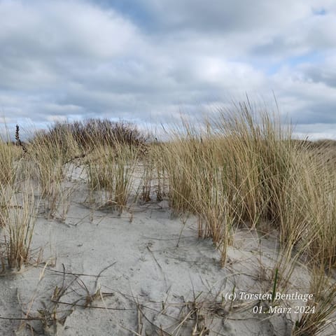 Natural landscape