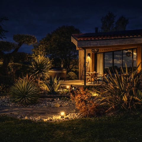 Night, Garden, Garden view