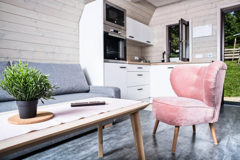 Kitchen or kitchenette, Living room, Seating area, minibar, stove