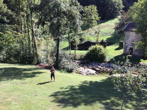 Property view