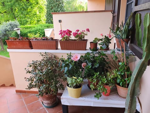 Villa Elsa, Cesena zona Ippodromo Bed and Breakfast in Cesena