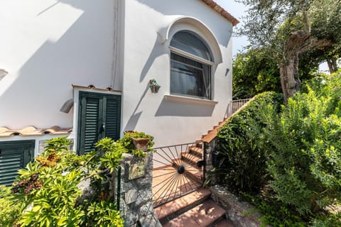 Property building, Day, Garden