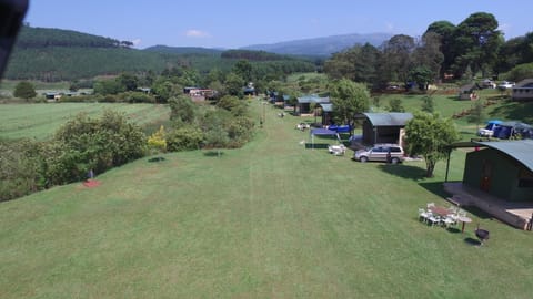 Natural landscape, Garden view