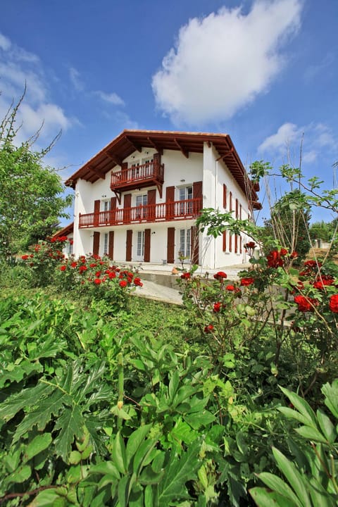 Property building, Day