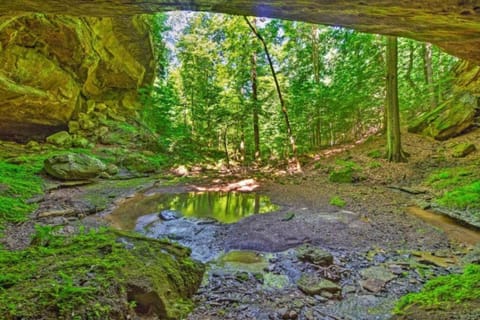 Mammoth Cave Cabin Rentals 7 Cabin in Nolin Lake