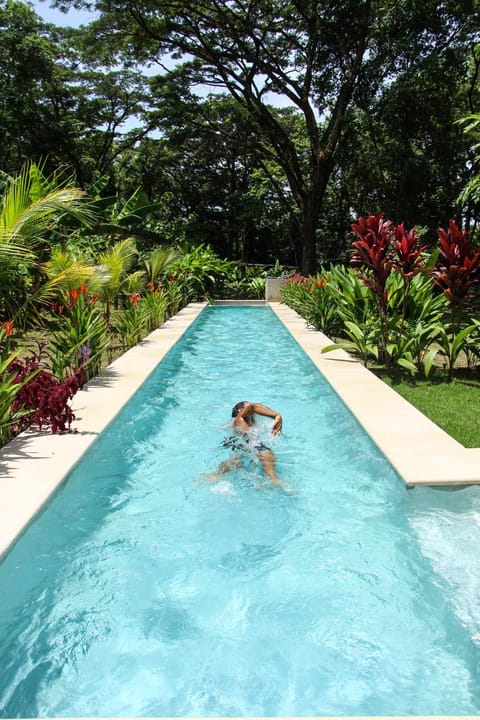 Day, Garden, Garden view, Pool view, Swimming pool