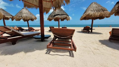 Natural landscape, Summer, Beach