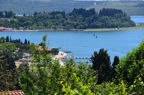 View (from property/room), View (from property/room)