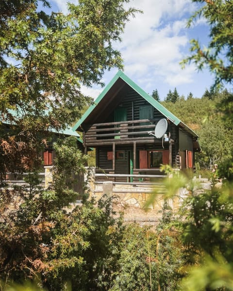 Property building, Garden view