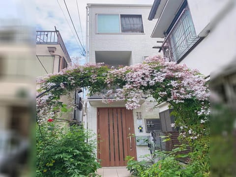 Property building, Spring, Garden, Garden view