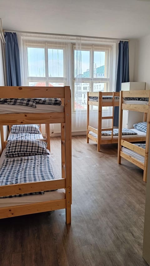 Bed, Photo of the whole room, bunk bed
