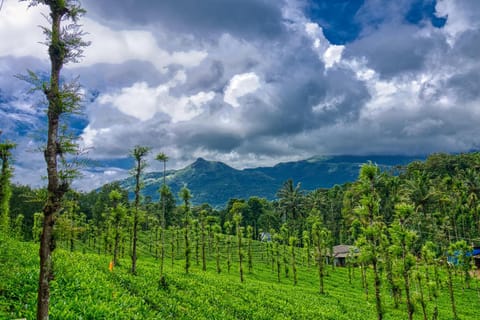 Nearby landmark, Natural landscape, Landmark view, Mountain view