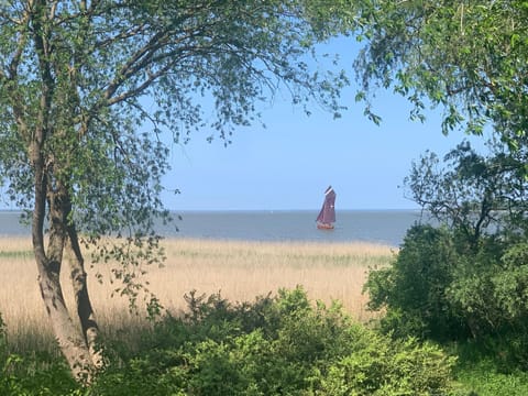 Natural landscape, Sea view