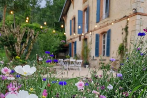 Property building, Garden view