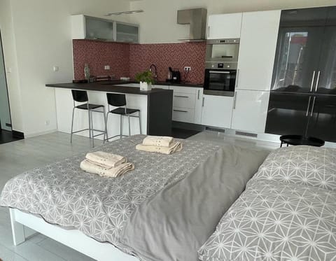 Bed, Kitchen or kitchenette, Photo of the whole room, Dining area, Bedroom, minibar, oven, pet friendly, stove