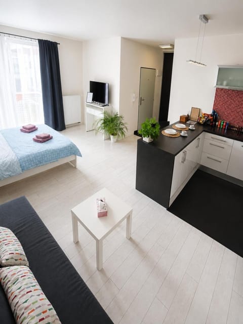 Bed, TV and multimedia, Kitchen or kitchenette, Living room, Food and drinks, Photo of the whole room, Seating area, Food, minibar