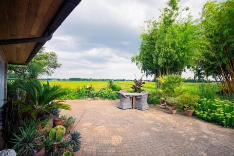 Spring, Day, Natural landscape, Garden, Garden view