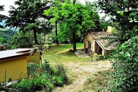 Spring, Day, Natural landscape, Garden, Garden view