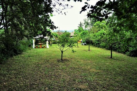 Spring, Day, Natural landscape, Garden, Garden view