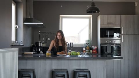 Loft en Duplex avec terrasse 3 chambres proche Pairi Daiza Apartment in Hauts-de-France