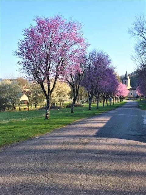 Natural landscape