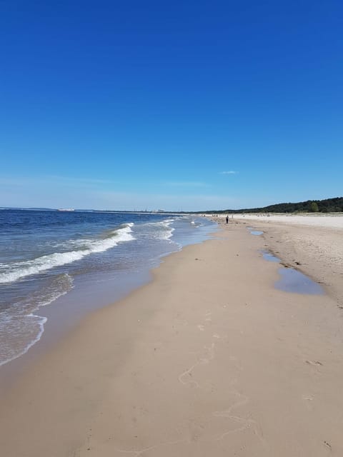 Villa Adler- Seeseite Apartment in Heringsdorf