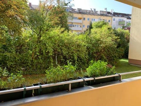 Garden, Garden view