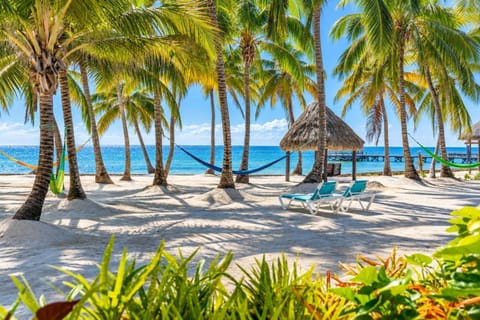 Beach, Beach