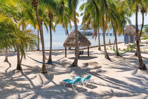 Day, Natural landscape, Summer, Beach, Beach, On site, Sea view, Area and facilities, Area and facilities, Location