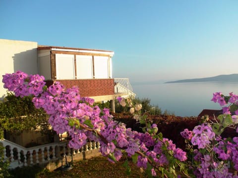 Sea view, Area and facilities