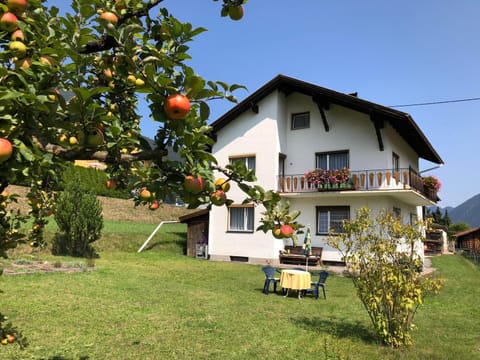 Property building, Garden, Garden view