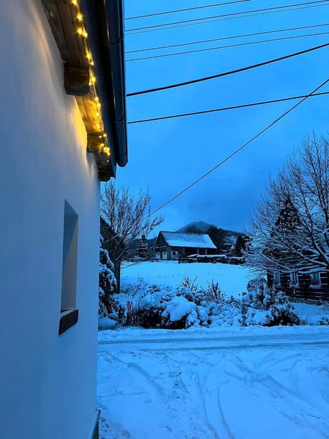 Winter