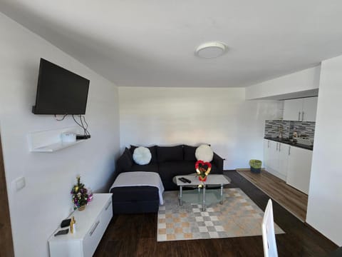 Vila Kostic Apartment in Zlatibor