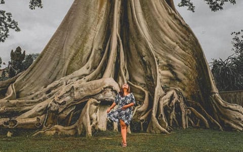 Nearby landmark, Day, Natural landscape, Guests