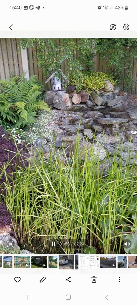 Knockrobin Cottage Bed and Breakfast in Wicklow