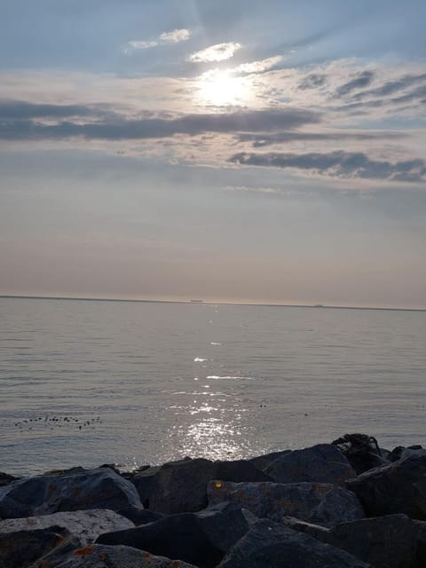 Knockrobin Cottage Bed and Breakfast in Wicklow